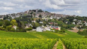 Escapade gourmande en Sancerrois. © Pixabay.