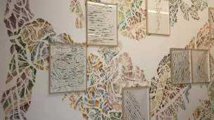 Installation d'Emilie Picard