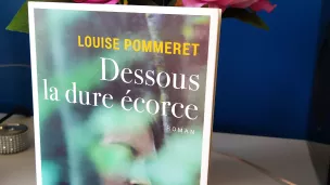 Dessous la dure écorce