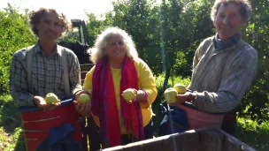 En pleine récolte de pommes au Verger Latapie ©RCF Sud Bretagne