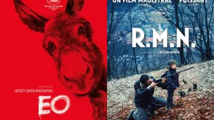 ©Affiche du film "EO" ; affiche du film "R.M.N."