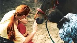 Wikipédia - Contact entre un enfant et un cheval