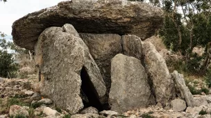 ® RCF Maguelone-Hérault : dolmen