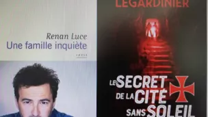 Pages de couvertures des 2 romans de Renan Luce et Gilles Legardinier