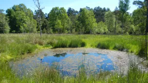 ©Conservatoire d'espaces naturels Nouvelle-Aquitaine