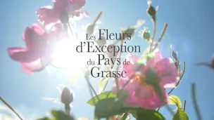 24 producteurs au service de la fleur d'exception