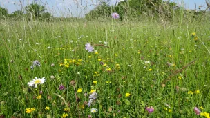 Parc Naturel Régional de Lorraine