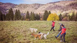 Mijoux Pays de Gex – marche sportive avec des chiens ©Conseil départemental Ain