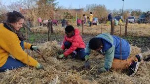 Vendredi 13 janvier 2023, des élèves de l'école Nelson-Mandela ont participé à la plantation d'une mini-forêt dans le quartier des Hauts de Saint-Aubin à Angers. ©RCF Anjou