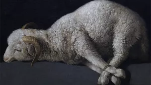 Francisco de Zurbarán, Agnus Dei ©Wikimédia commons