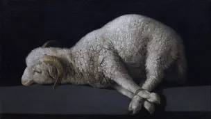 Francisco de Zurbarán, Agnus Dei ©Wikimédia commons