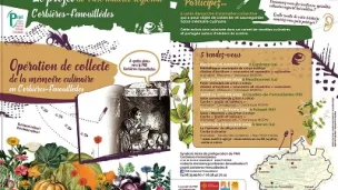 mémoire culinaire