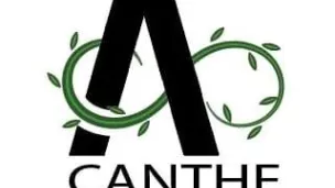 association Acanthe