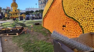 Placés un à un, les agrumes cachent le grillade et la ferraille des structures.  - Photo RCF Nice - Laura Grondard