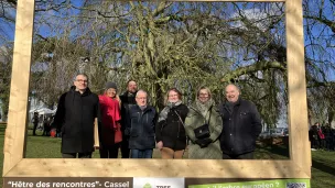 Le conseil municipal de Cassel devant l'Hêtre pleureur Crédit RCF Hauts de France Anne Henry