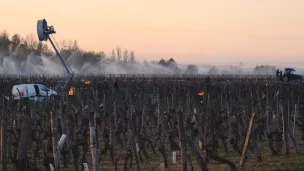 Image tirée du film Les Promesses de l'aube - Des vignerons face au gel ©La Calligramme