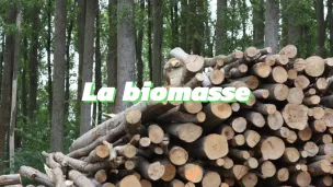 La biomasse