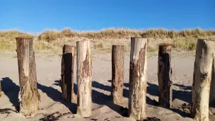 Les pieux installés sur la plage de Gonneville ©RCF Manche