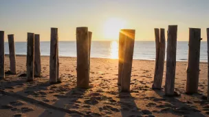 La plage de Blainville sur Mer et ses poteaux protecteurs de la dune (Crédit photo : Camille Godefroy)