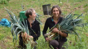 une ferme maraîchère Nature & Progrès à Castelreng