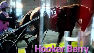 "Hooker Berry" est arrivé premier du Grand Prix d'Amérique !