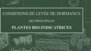  journée des sols : l'atelier de plantes bio-indicatrices