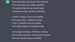 ChatGPT Sonnet Dombes