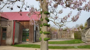 Parmi les nouveautés 2023 du parc du végétal Terra Botanica, des oeuvres de land-art comme ces Tree Hugs créés par l'artiste Monsieur Plant. ©RCF Anjou