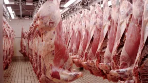Illustration abattoir © Pixabay