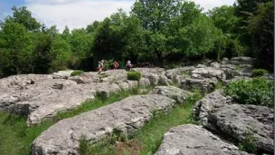  Labyrinthe Vert Nébias