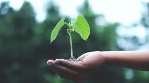 Photo de Akil  Mazumder: https://www.pexels.com/fr-fr/photo/personne-tenant-une-plante-verte-1072824/