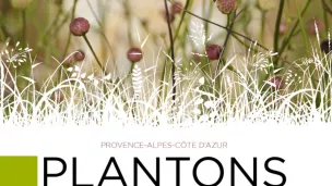 Plantons local