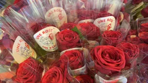 Les roses prêtes à être distribuées par les Motards d'Une rose un espoir © Élodie Berard