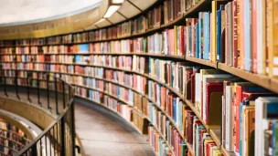 image d'illustration (rayonnage de librairie) - © Susan Q Yin via Unsplash
