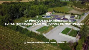 REUT (Réutilisation des Eaux Usées Traitées) en Occitanie