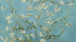 Amandier en fleurs Vincent Van Gogh