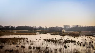 Etang du Grand Birieux ©Conseil départemental Ain