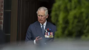 Le prince Charles en 2013 © Eric Beracassat / Hans Lucas France