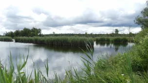 Paysage des marais de Sacy Crédit G. Gaudin - CEN Hauts-de-France