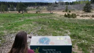 Tourbière de la Verrerie, lieu d'implantation de la huitième oeuvre du parcours artistique