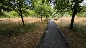 Le parc Normandie-Maine forme des CM1 et CM2 au climat ©Aurélien Vurli / RCF Orne