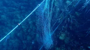 Un filet de pêche sur des coraux à Nice - Photo Iza 