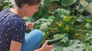 Marie Voland dans la serre du Potager des coquelicots ©Cols Verts Vannes