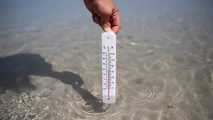 Canicule marine sans précédent dans l'océan atlantique avec des températures supérieures de 5 degrés à la normale © Vincent Feuray / Hans Lucas.