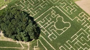 ©Labyrinthe Maïs Foucherans