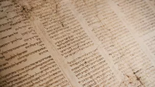 image d'illustration (Torah) - © Tanner Mardis via Unsplash