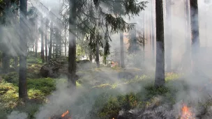 A noter que les SDIS sont à la recherche de sapeurs-pompiers volontaires. Indispensables, mais difficiles à recruter, ils représentent les trois quarts des effectifs de pompiers. 