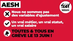  Plus de 130 000 AESH, pour 80 000 équivalents temps pleins travaillés, accompagnent actuellement 430 000 enfants, selon les chiffres du ministère publiés à la rentrée de septembre 2022.