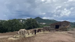 Parcage géré par l'association Anestérel, aux Adrets-de-l'Estérel