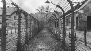 Camps de concentration d'Auschwitz, en Pologne. ©Unsplash